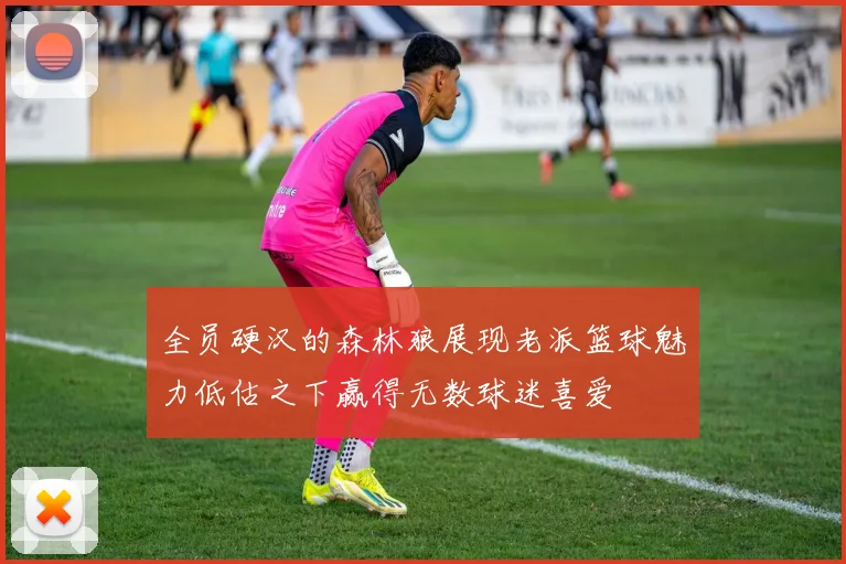 全员硬汉的森林狼展现老派篮球魅力低估之下赢得无数球迷喜爱